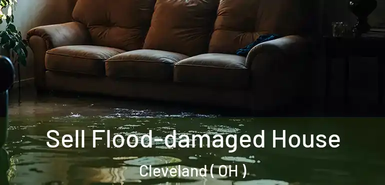  Sell Flood-damaged House Cleveland ( OH )